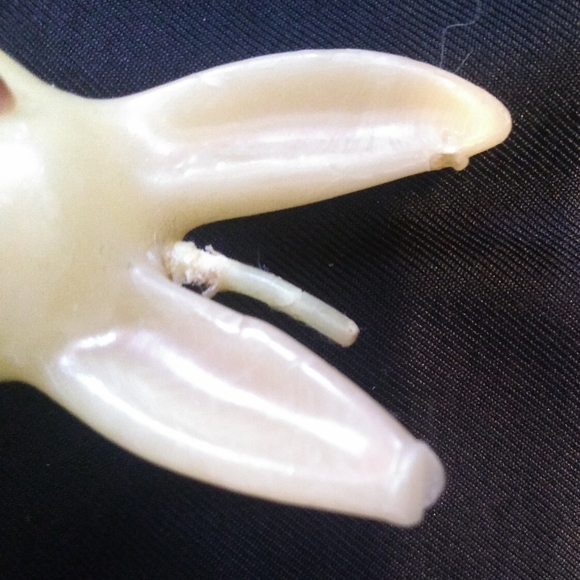 Vintage Bunny Rabbit Candle - Picture 5 of 7